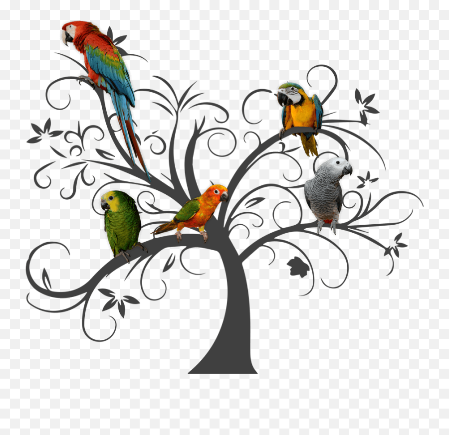 Anau0027s Parrots U0026 Supplies African Greys Golden Conures - Women Tree Emoji,Pudgy Emoticon