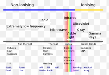 Walking Through A Metal Detector Every - 5g On Radiation Scale Emoji,Metal Detect Emoji