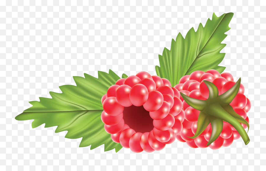 Raspberry Png Image For Free Download Emoji,Raspberry Emojis
