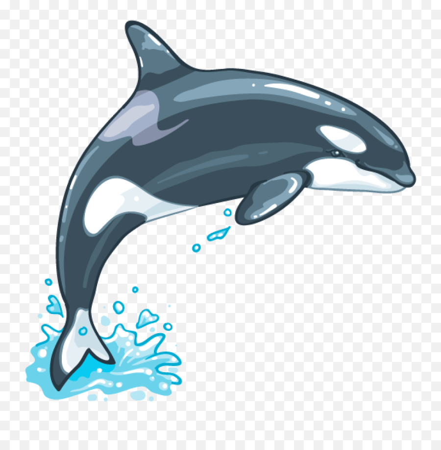 Whale Images Png - Whale Png Emoji,Killer Whale Emoji