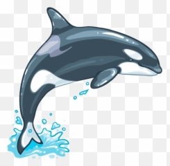 Whale Images Png - Whale Png Emoji,Killer Whale Emoji