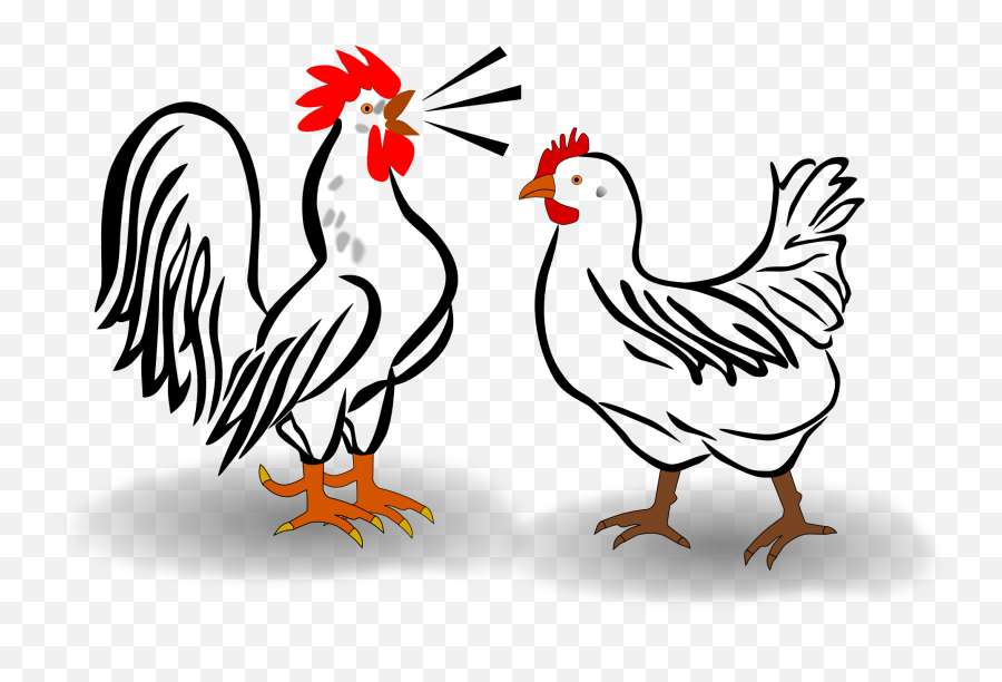 Drawn Chicken And Rooster Free Image - Black And White Rooster Transparent Emoji,Chicken Emotions