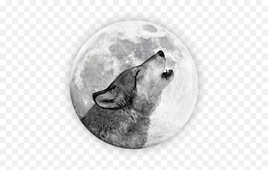 Ftestickers Moonwolf Sticker By Sona - Our Wild Calling Richard Louv Emoji,Moon Love Fox Emoji
