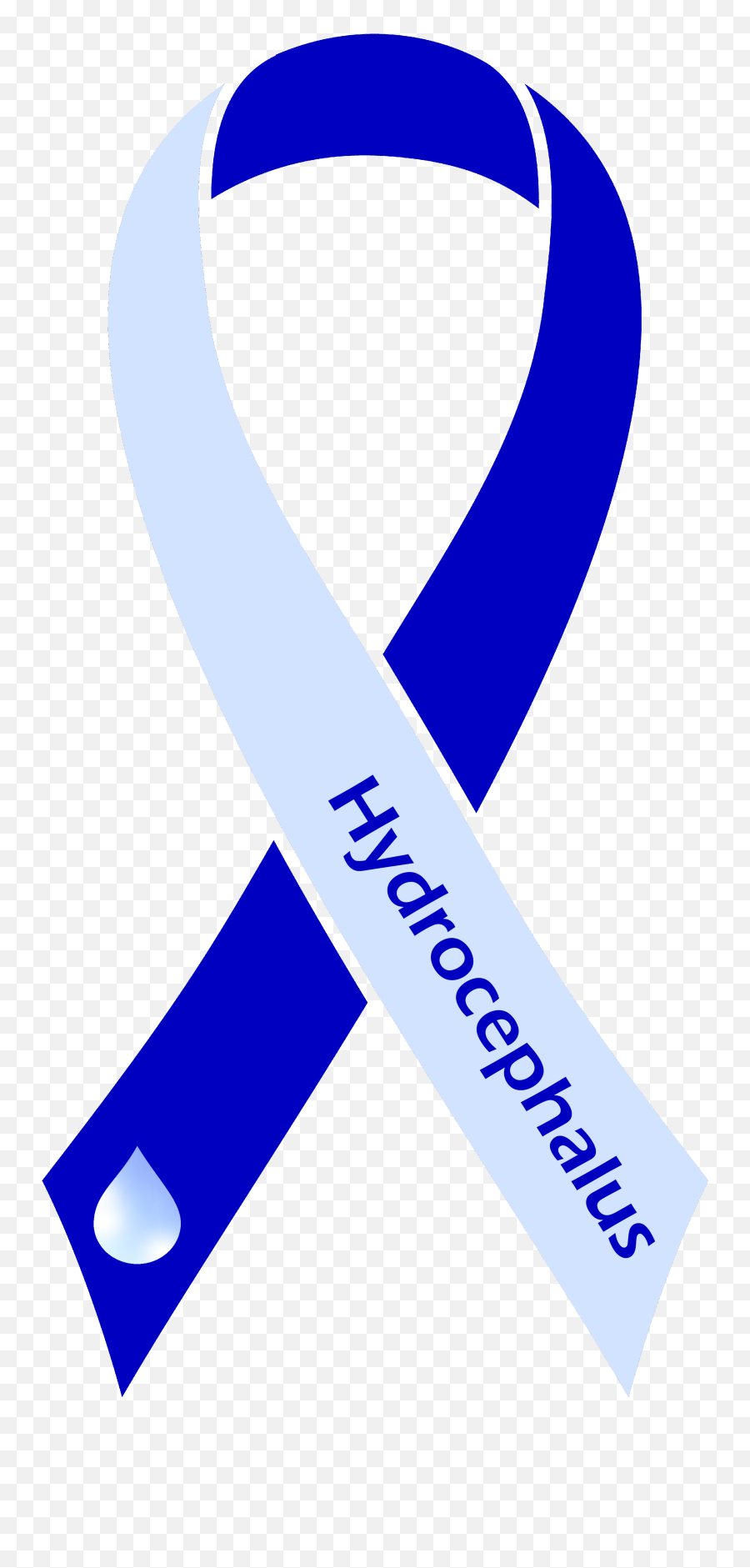High Quality Two Tone Plain Ribbon Text How To Find Out - Hydrocephalus Awareness Ribbon Png Emoji,Cowboy Syndrome Emotions