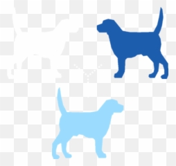 Paw Print Pedigrees - Rodzaje Szelek Dla Psa Emoji,Blue Crown Conure Emotion