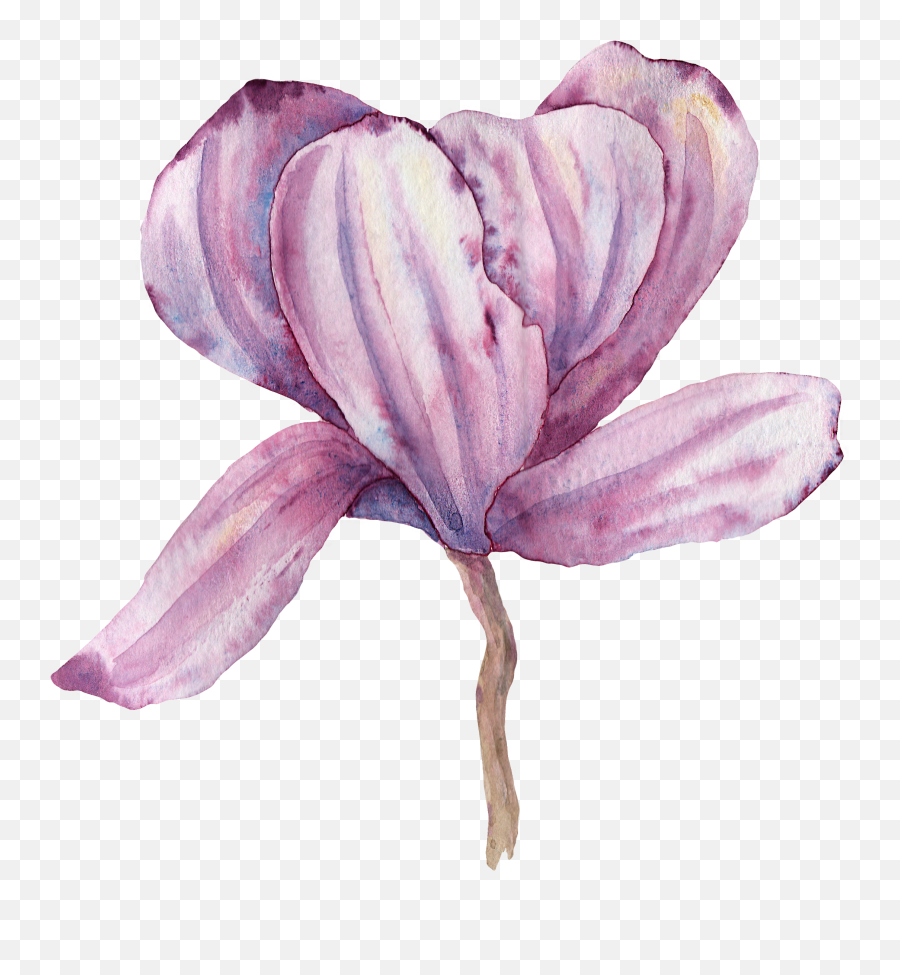 Magnolia Magnoliaflower Flower Sticker - Sketch Emoji,Magnolia Emoji