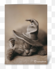 Halloween Kitten In Witch Hat Emoji,Witch Hat Facebook Emoticons