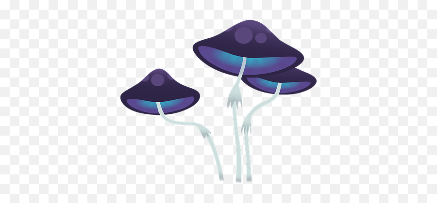 300 Free Cap U0026 Graduation Vectors - Pixabay Purple Mushrooms Png Emoji,Skull Mushroom Emoji