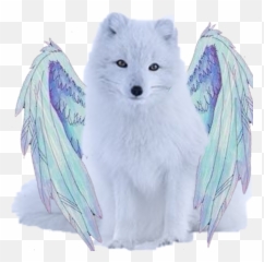 Flying Artic Fox Image Emoji,Arctic Fox Emoji