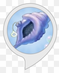 Alexa Skills - Spongebob Magic Conch Png Emoji,Magic Conch Shell In Emojis