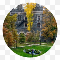 Honors Convocation 2021 Arcadia University Emoji,Human Emotion Tree Art Design Art Canvas