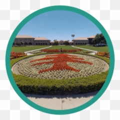 Trees Together Transition Together Student Affairs Emoji,How Your Emotions Change The Shape Of Your Heart
