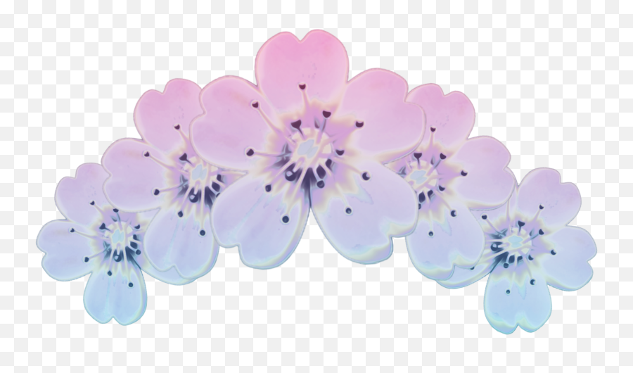 Flower Flowers Crown Sticker By - Girly Emoji,Blossom Emoji