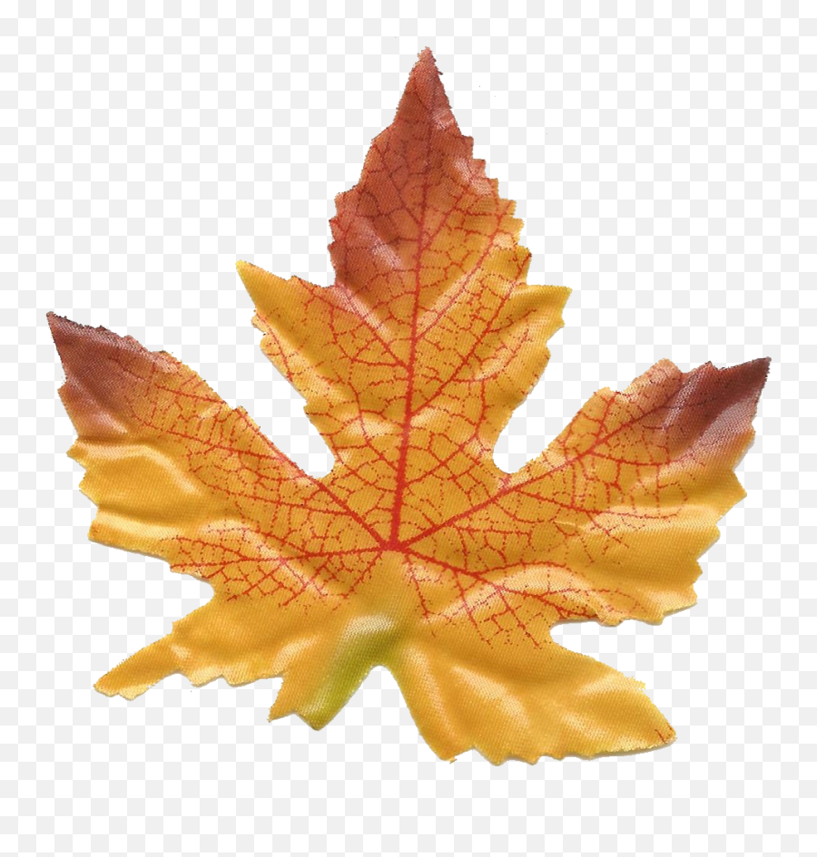 Welcome Fall Leaves Emoji,Maple Leaves Emoji