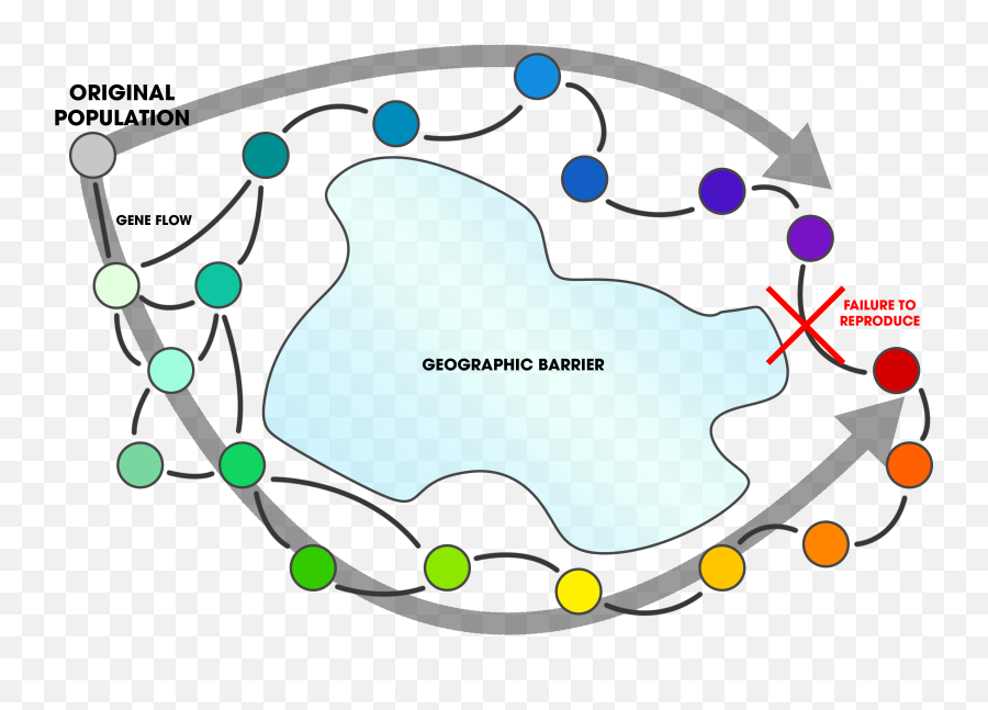 Evidence Of Common Descent Emoji,Coevolution Layer Emotion