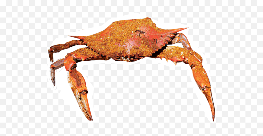 A Guide To Baltimoreu0027s Public Markets Visit Baltimore - Baltimore Crabs Emoji,Pinching Crab Emoticon