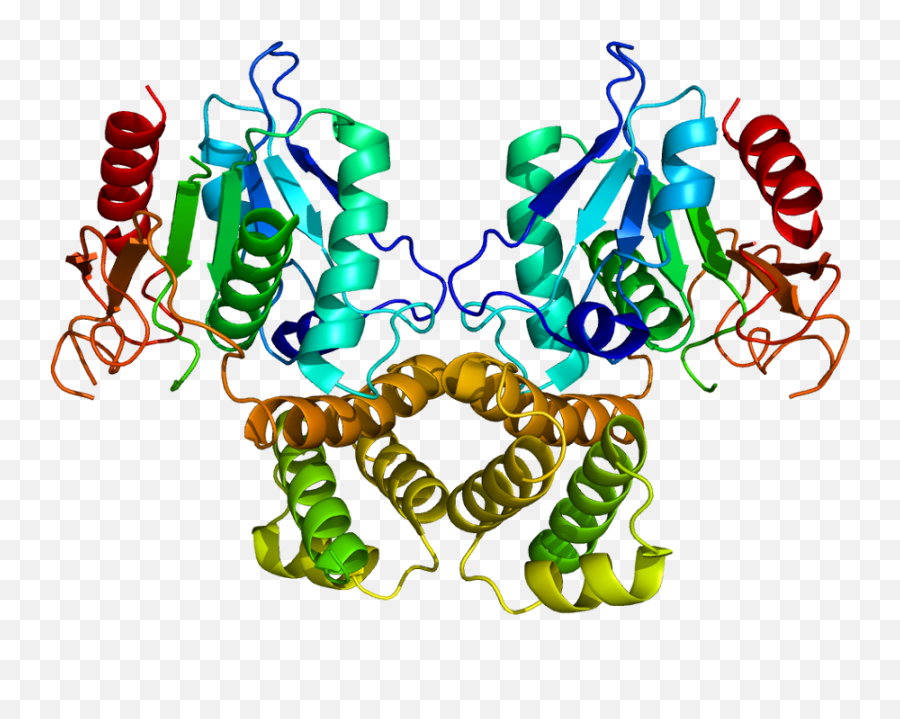 Fatty Acid Synthase - Fatty Acid Synthase Structure Emoji,Expression Of Emotions In Man And Animals Wikipedia