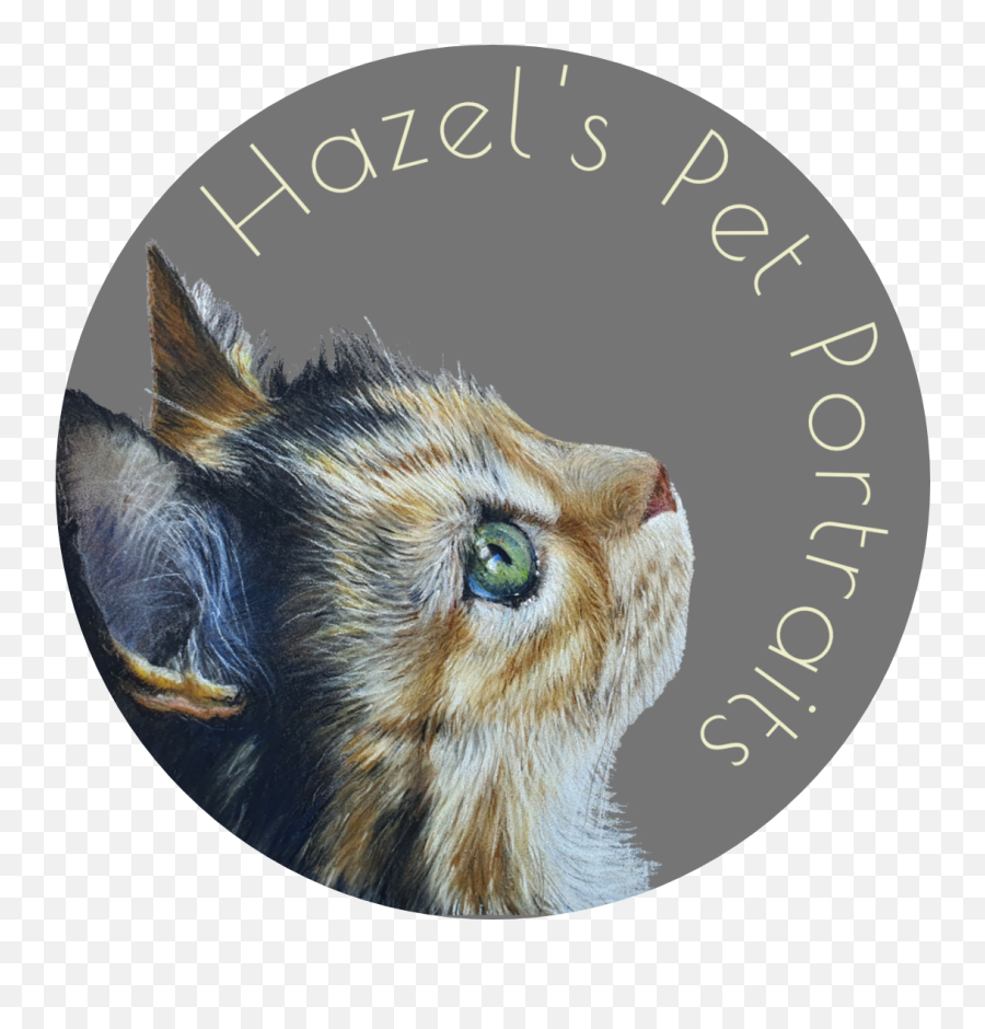Custom Pet Portraits By Professional Artist Hazel Middlemas - Abyssinian Cat Emoji,Labrador Retriever Happy Birthday Emoticon