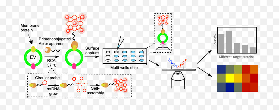 Zhong Research Group Emoji,Agt Secrete Emotion