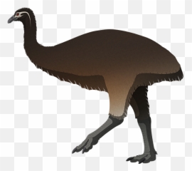 Flightless U2013 Nix Illustration Emoji,Fast Parrot Emoji Meaning