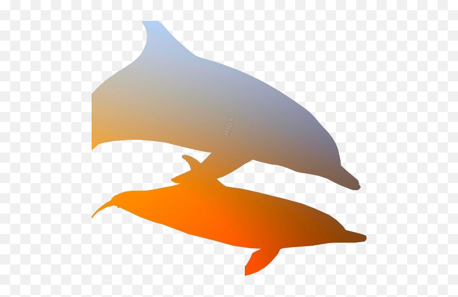 Dolphin Png Hd Images Transparent Vectors Emoji,Emoji Dolphins