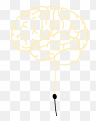 Shining A Light On The Human Brain Einstein Magazine - Brain Emoji,Parts Of The Brain That Control Emotion