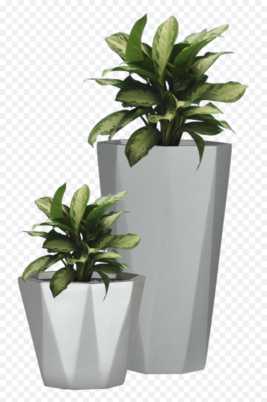 Download Free Png Potted Plant Png - Transparent Background Floor Plant Png Emoji,Potted Plant Emoji
