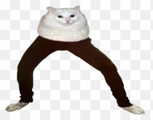 The Most Edited Chubby Picsart - Cursed Images Meme Png Emoji,Chubby Cheeks Emoticon