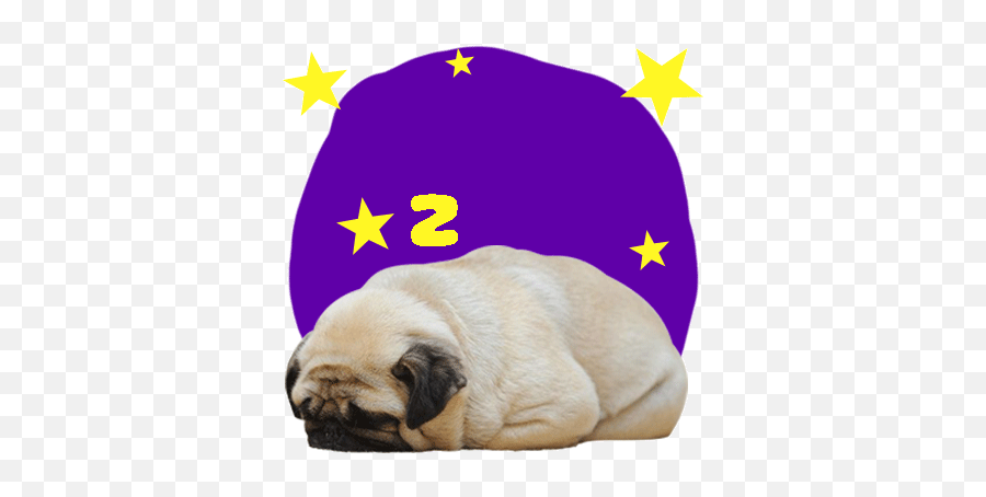 Handsome Pug Puppy Animated By Hung Hoang The - Sleeping Pug Emoji,Good Night Emoji Animated