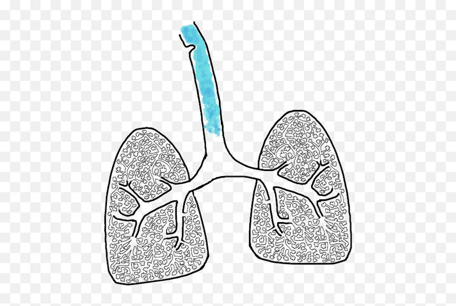 Top Lungs Breathing Stickers For Android U0026 Ios Gfycat - Transparent Lungs Breathing Gif Emoji,Air Quotes Emoji