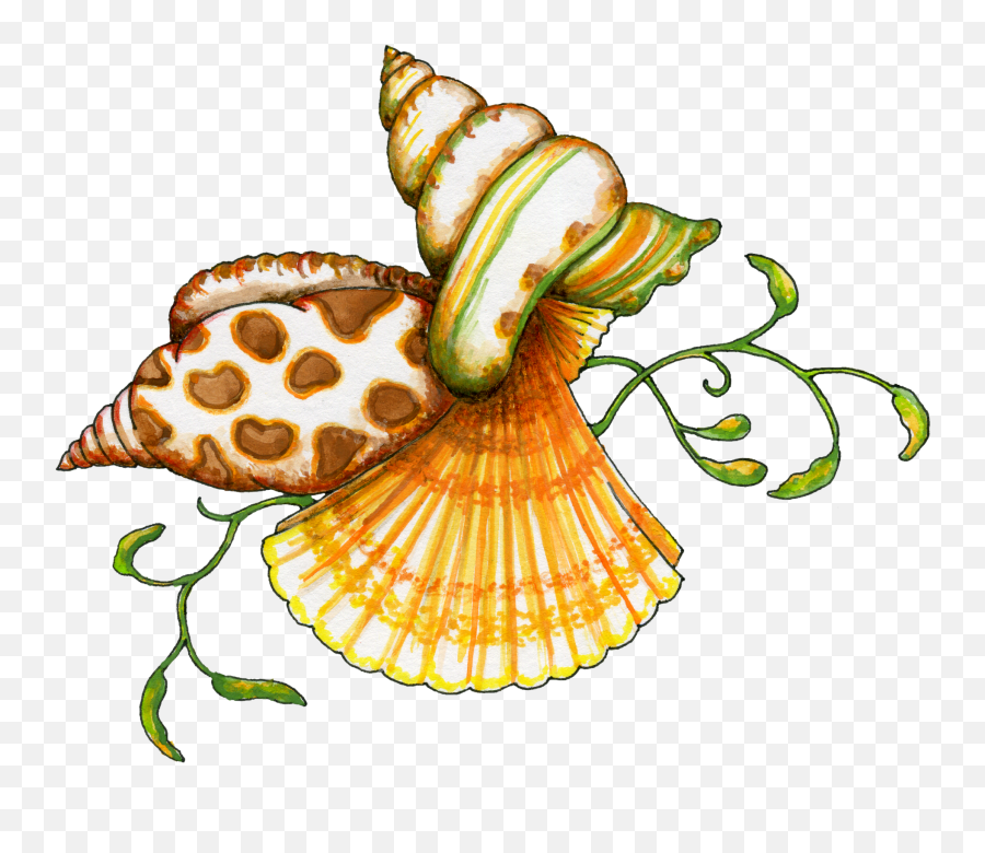 Seashell Clip Art Borders Free Free - Clip Art Image Of Sea Shell Emoji,Seashell Emoji