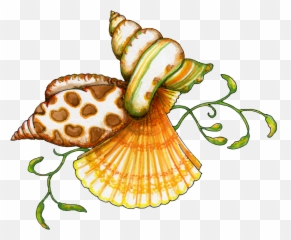 Seashell Clip Art Borders Free Free - Clip Art Image Of Sea Shell Emoji,Seashell Emoji