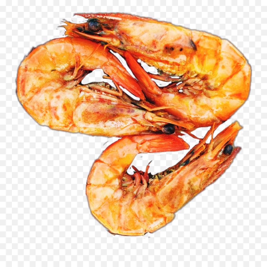 Sea Food Shrimp Jhyuri Sticker - Udang Goreng Tanpa Tepung Emoji,Shrimp Emoji