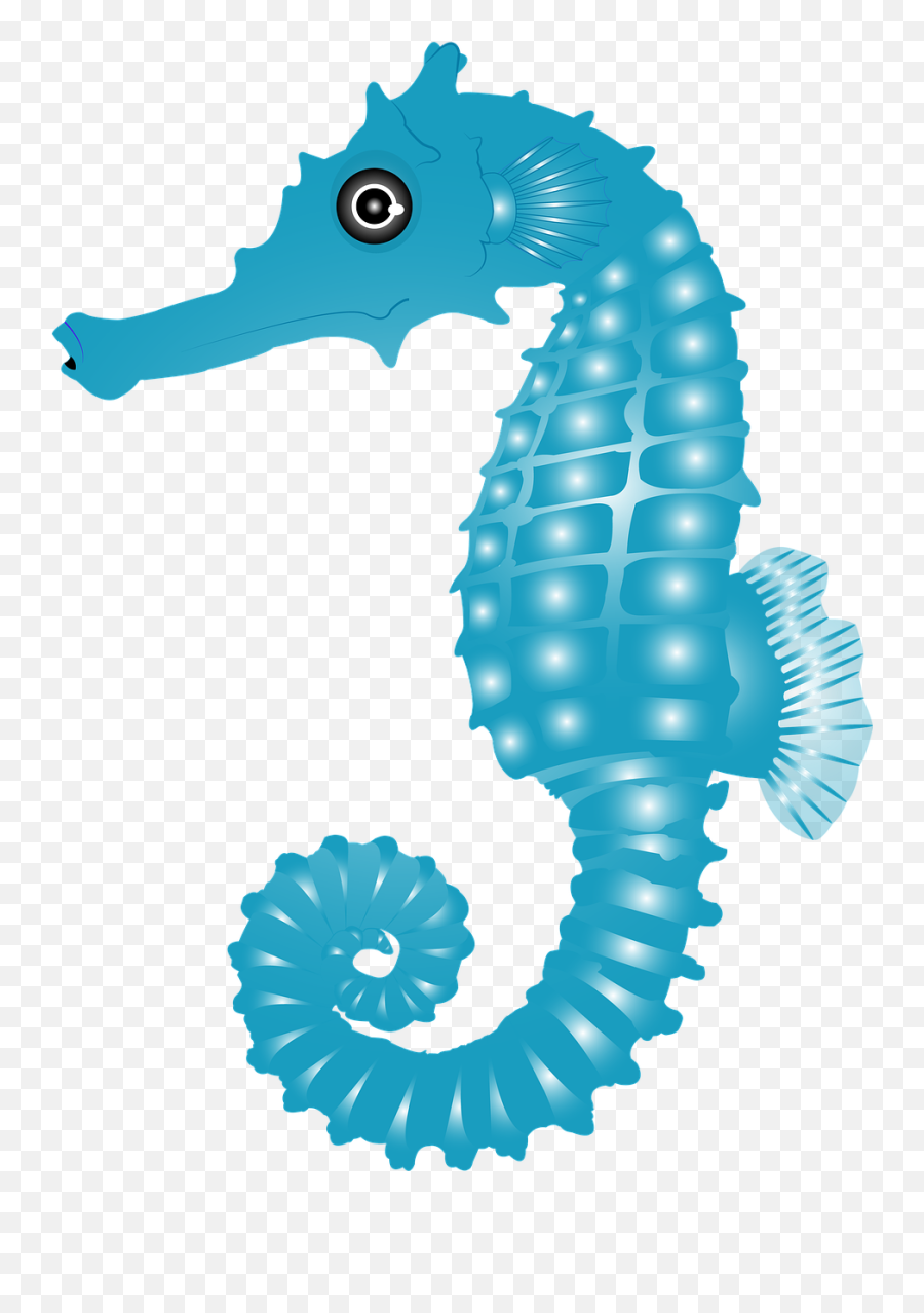 Caballito De Mar Peces Animales - Caballito De Mar Azul Png Emoji,Tipo De Espanol Sehorse Emoji