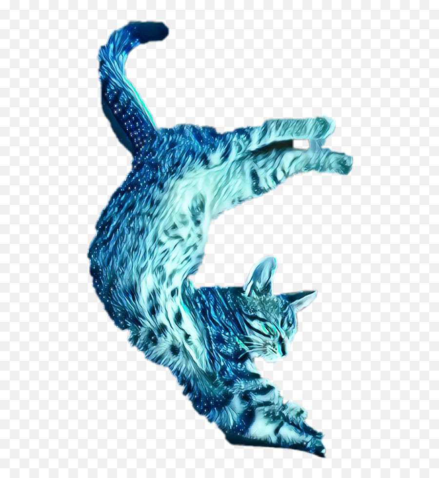 Crazy Cat Catlover Bluecat Universe Sticker By Tereza Emoji,Draw Emojis Cats