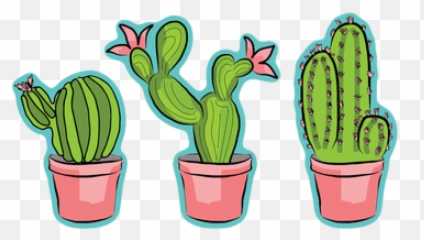 The Coolest Cactus Nature Images And - Clipart Cactus Png Emoji,Cactus Emojis
