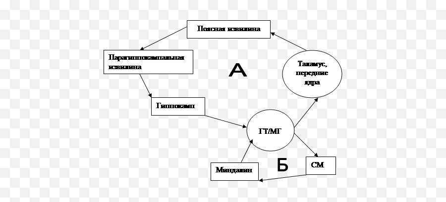 Limbic System Its Structure And Functions Emoji,Structures Of The Limbic System Involved With Emotions