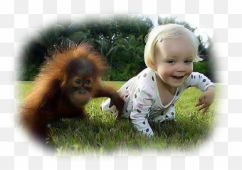 Welcome To The Poupishop Emoji,Orangutan Showing Emotions