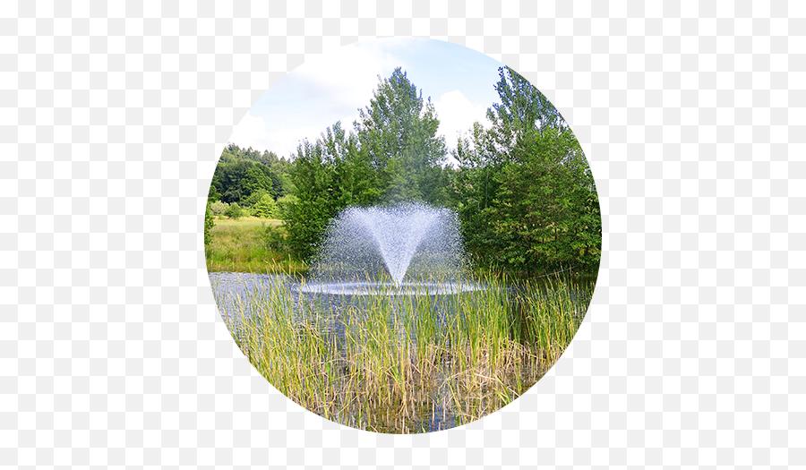 Pond Cleaning Daytona - Natural Landscape Emoji,Emoji Pond Florida