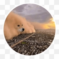 Wholesome Animals Stickers - Live Wa Stickers Robin Lopvet Emoji,Wholesome Meme Emojis