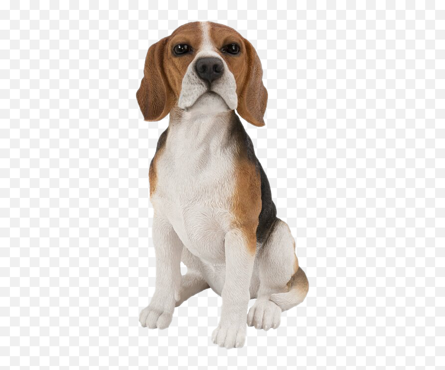 Pupcuts U2013 Miami Mobile Pet Grooming - Beagle Statue Emoji,Beagle Puppy Emotions