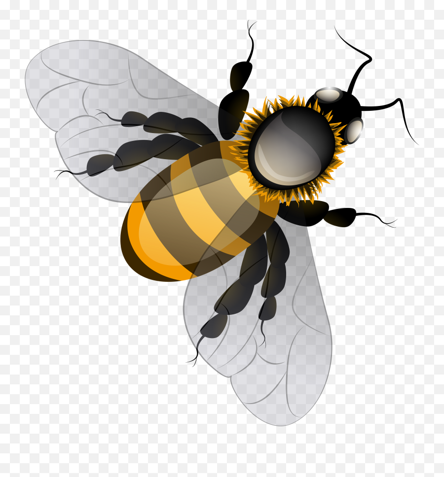 Bee Png Transparent - Clipart Transparent Bee Png Emoji,Bee Swarm Bee Emojis