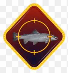 Release Note Motorboats And Carp Fishing Update - News And Squaliform Sharks Emoji,Motorboating Emoji