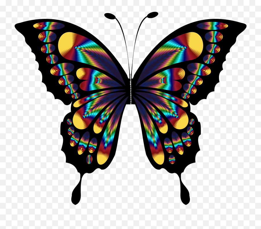 Wings Butterfly Black Darkblack Sticker Emoji,Emotion Butterflies