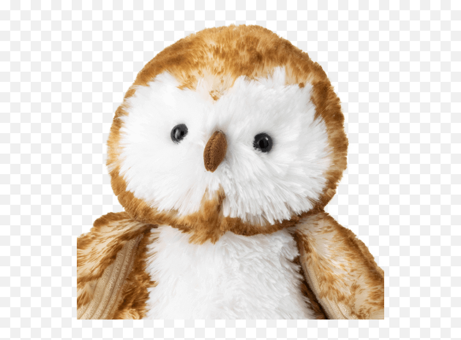 Oakley The Owl Scentsy Buddy Bring Back My Buddy 2021 Emoji,Emotions Related To Owls