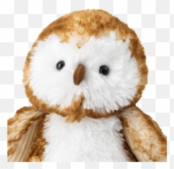 Oakley The Owl Scentsy Buddy Bring Back My Buddy 2021 Emoji,Emotions Related To Owls