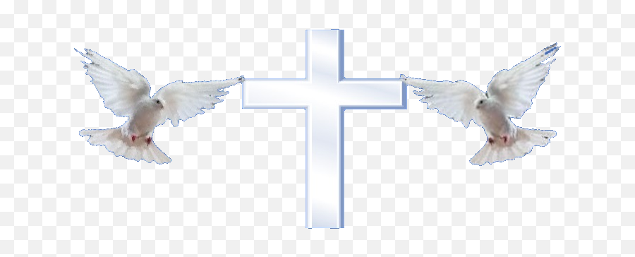 Jesus And Emotional Healing - Jesus Love Birds Png Emoji,Jesus' Emotions