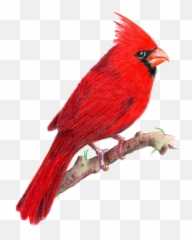 Beloved Spear March 2013 - Red Blue J Bird Emoji,Miyazki Totoro Nussbaum Political Emotions