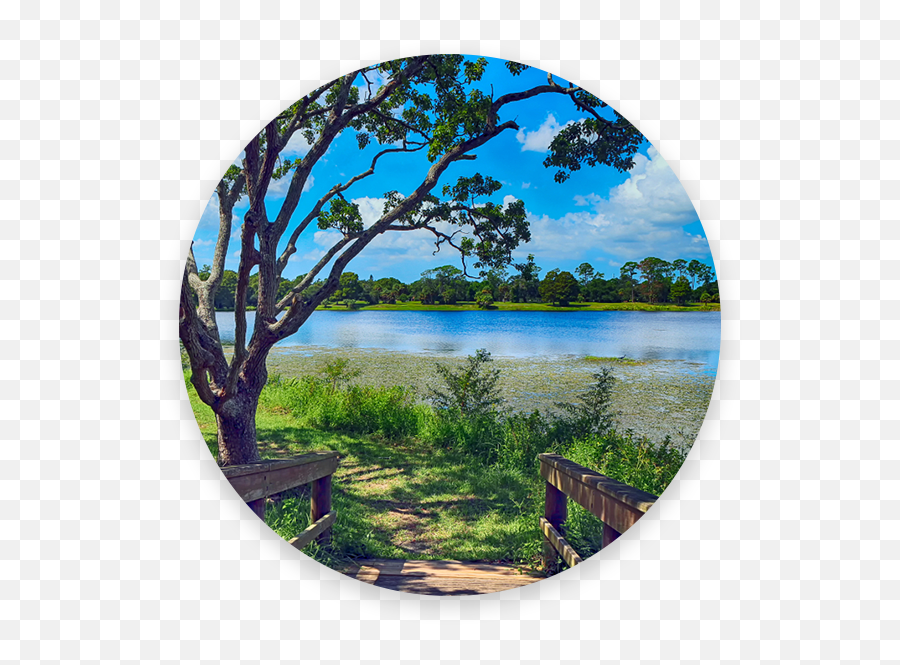 Crosscreek Environmental - Natural Landscape Emoji,Emoji Pond Florida