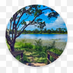 Crosscreek Environmental - Natural Landscape Emoji,Emoji Pond Florida